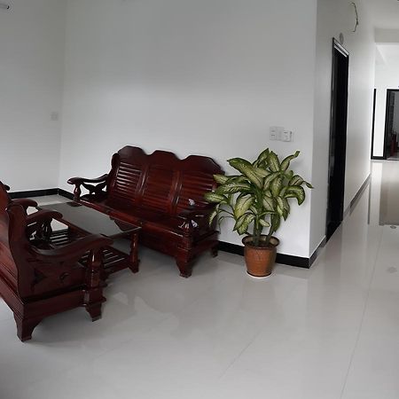 Thao Hieu Homestay Hoi An Dış mekan fotoğraf